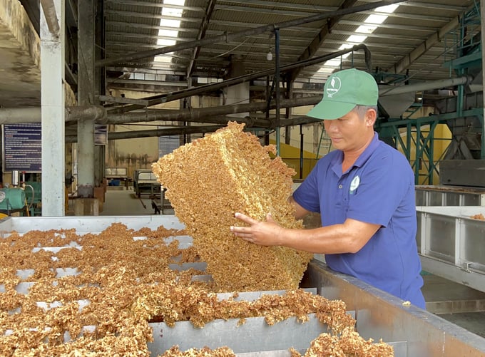 Ngành cao su đi vào tăng trưởng xanh - Hết sợ từ &apos;thải&apos;, nước đã trong và khí đã sạch